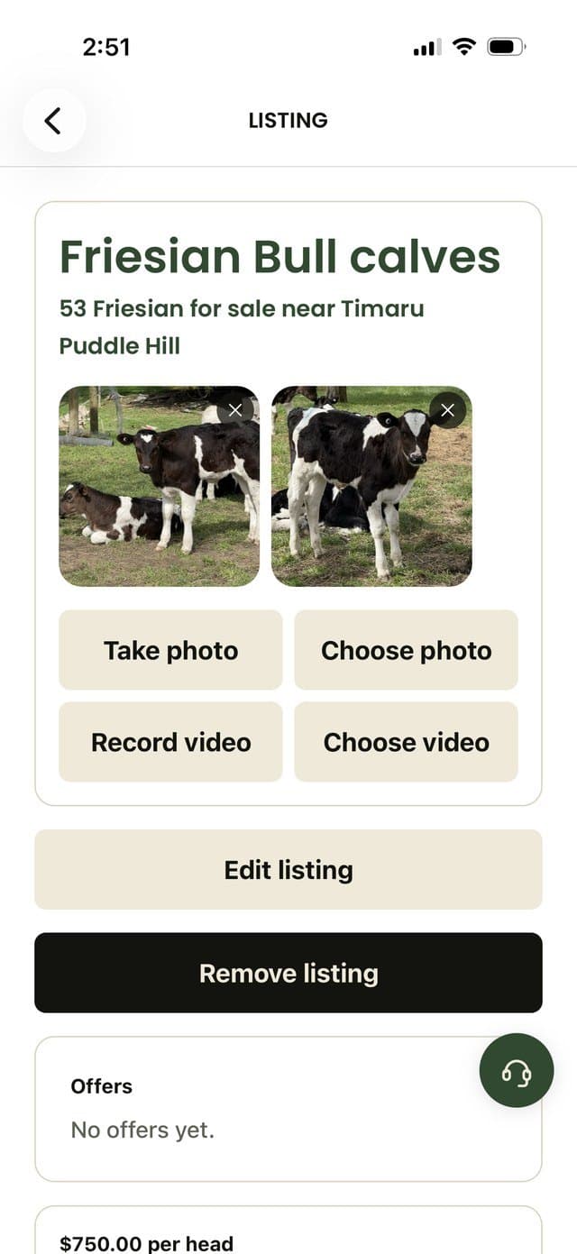 A Paddock listing for Friesian bull calves, with photos and a price per head